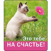 Магнит виниловый " Хорошо " 60*70мм Это тебе на счастье!..- кошка с цветком 918-51,51,951