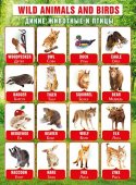Плакат "Мир поздравлений" Дикие животные и птицы А2 арт.941-070,251