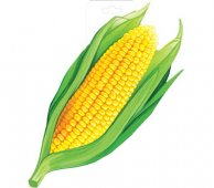 Плакат фигурный "Империя поздравлений" Кукуруза А4