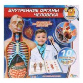 Набор для опытов "Играем вместе" Внутренние органы человека человека арт. KY-10001