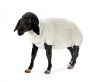 Hansa Суффолкская овечка 65 см арт 7065