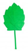 Осенний лист "Березовый" зеленый